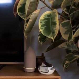 Vitruvi stone diffuser in cocoa